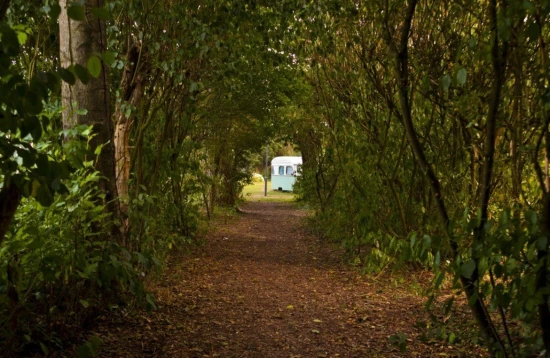 Kopie van buitenland jonvanschaik11 1 