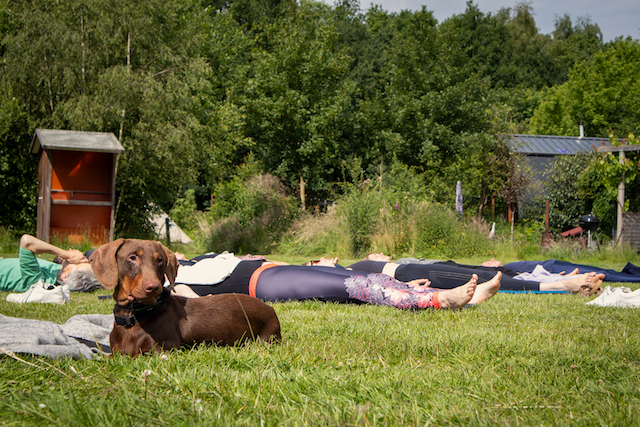 Yoga